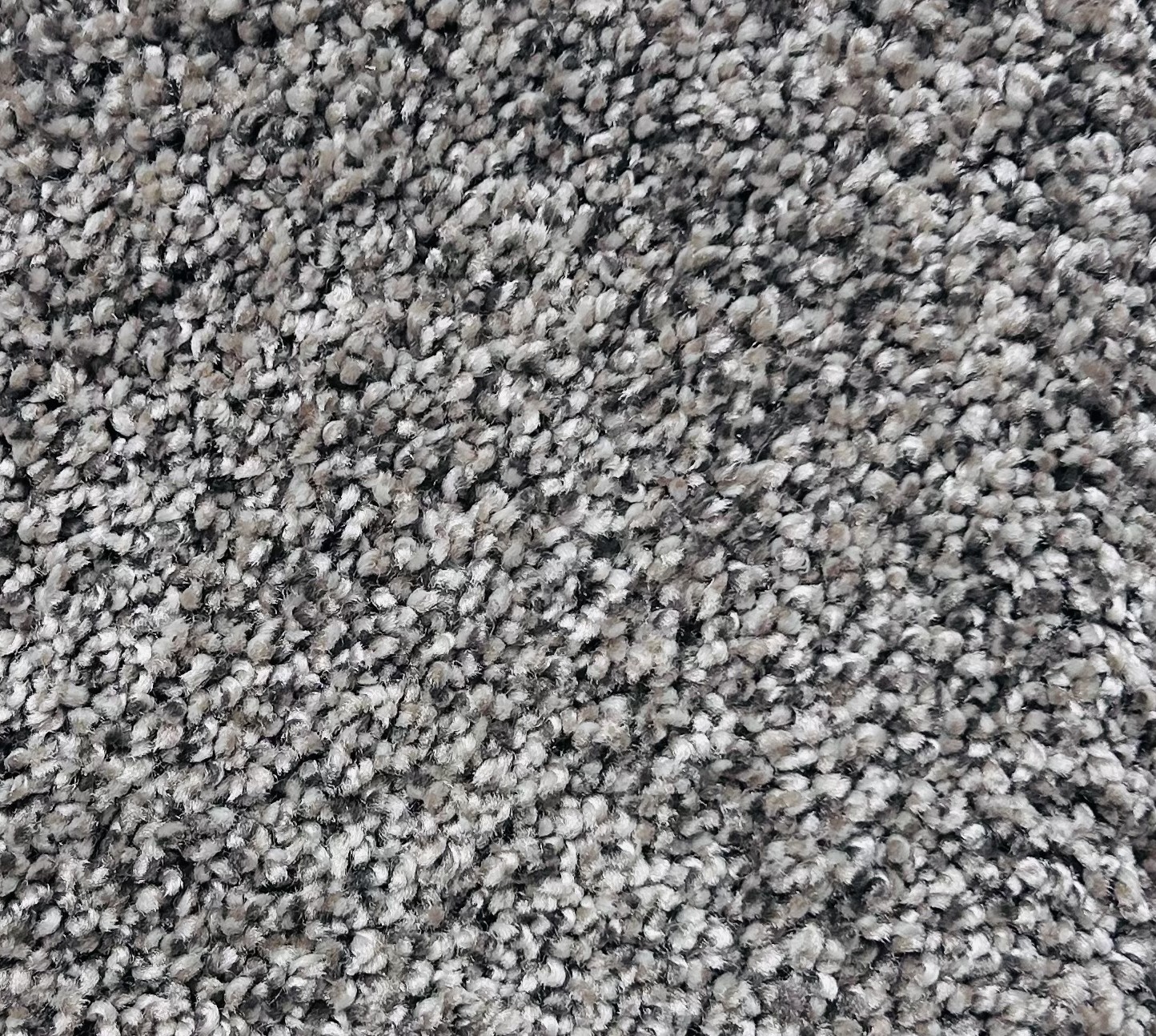 Carpet - Chino Gray
