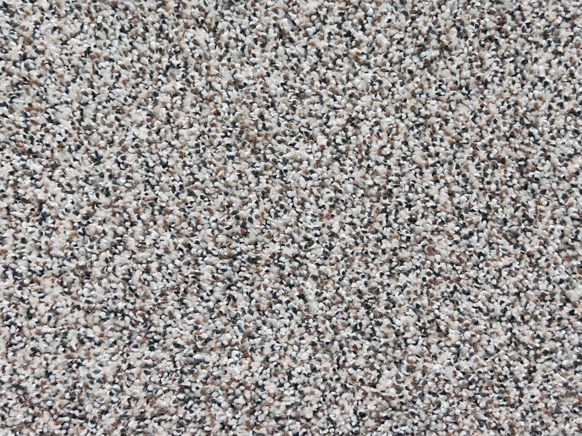 Nantucket Dune