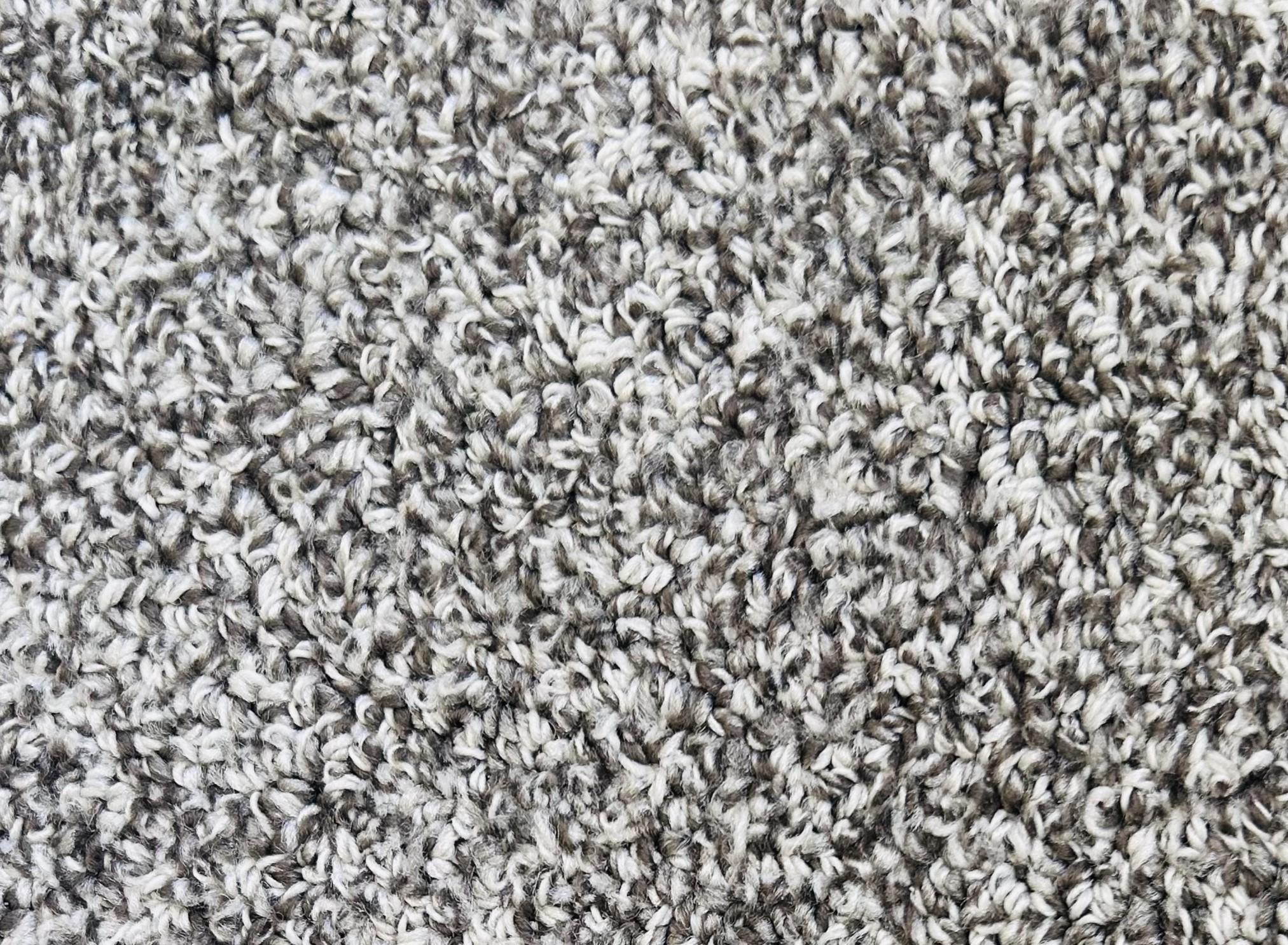 Carpet - Reflection