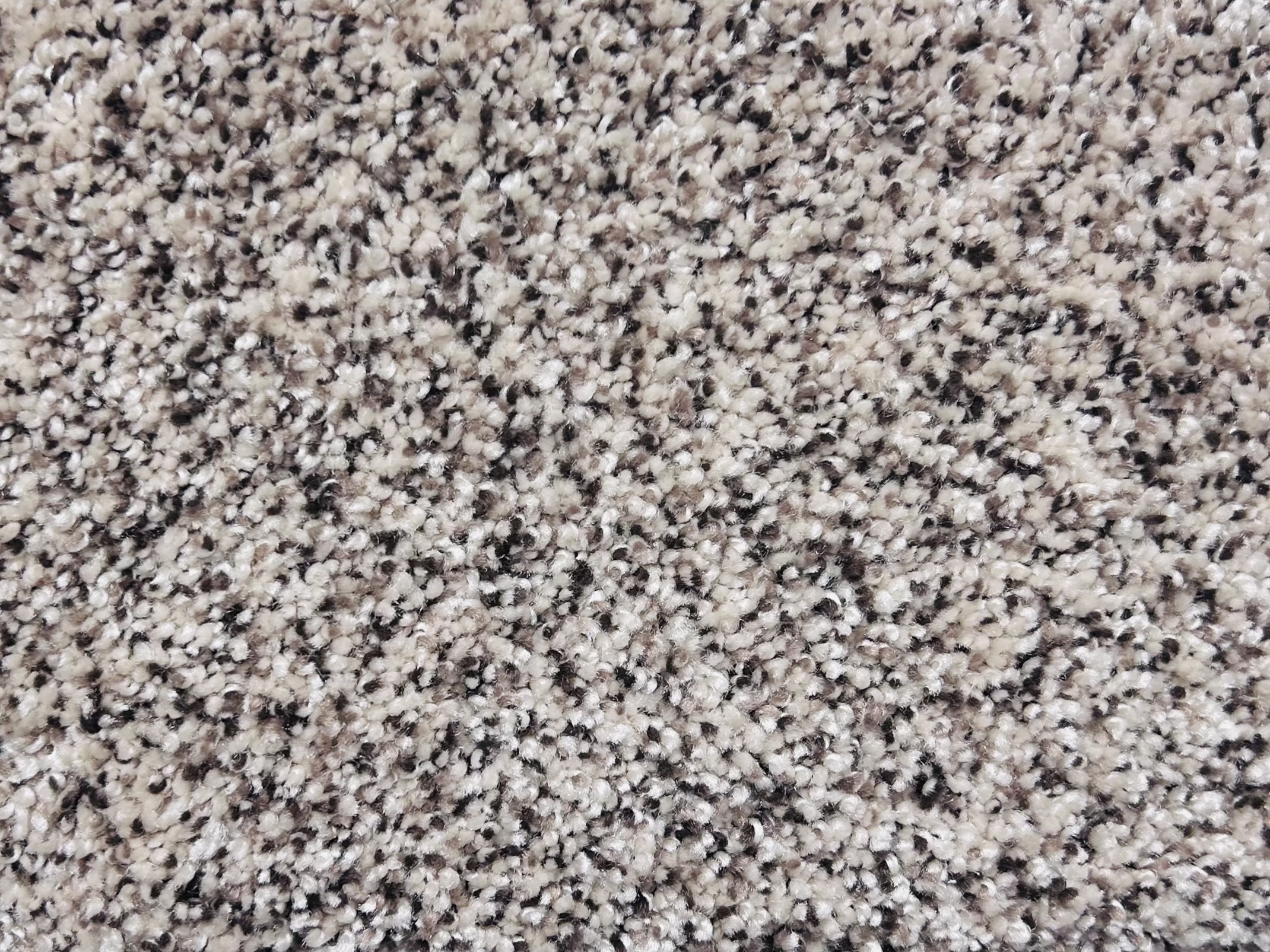 Carpet - Sea Drift