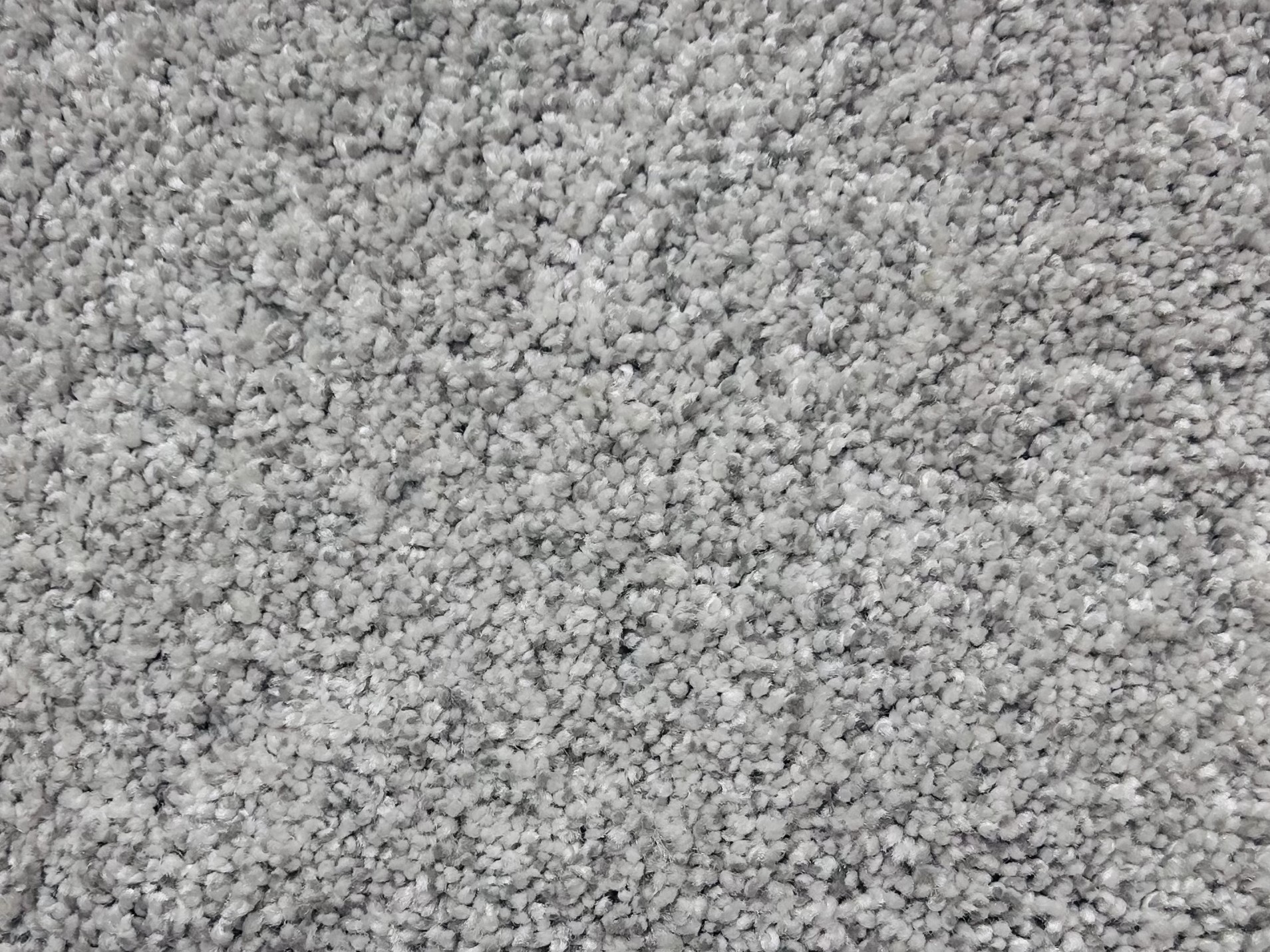 Carpet - Silver Plate