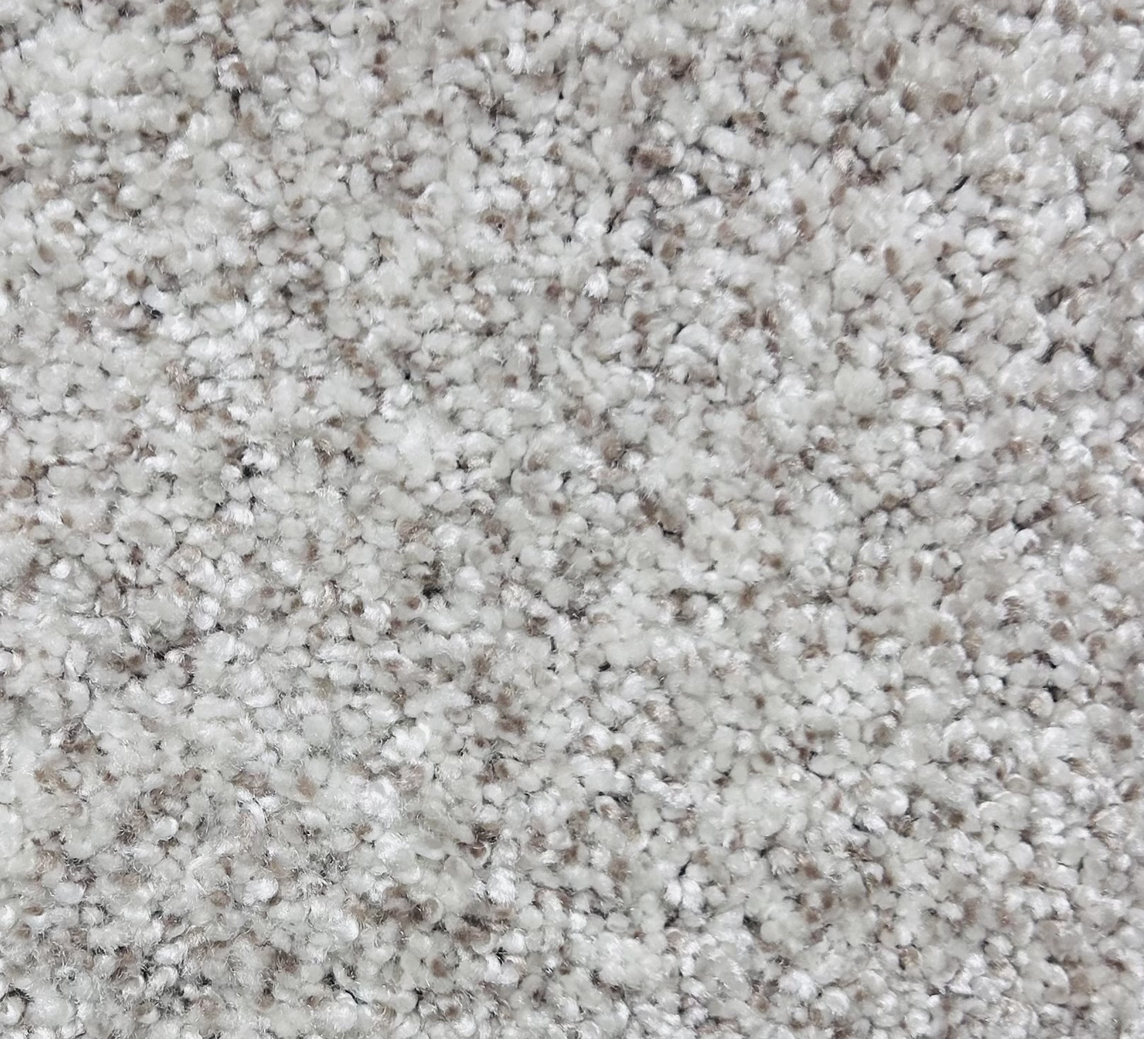 Carpet - Brushed Cotton
