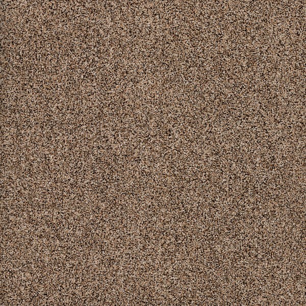 Carpet - BB006 Warm Stone